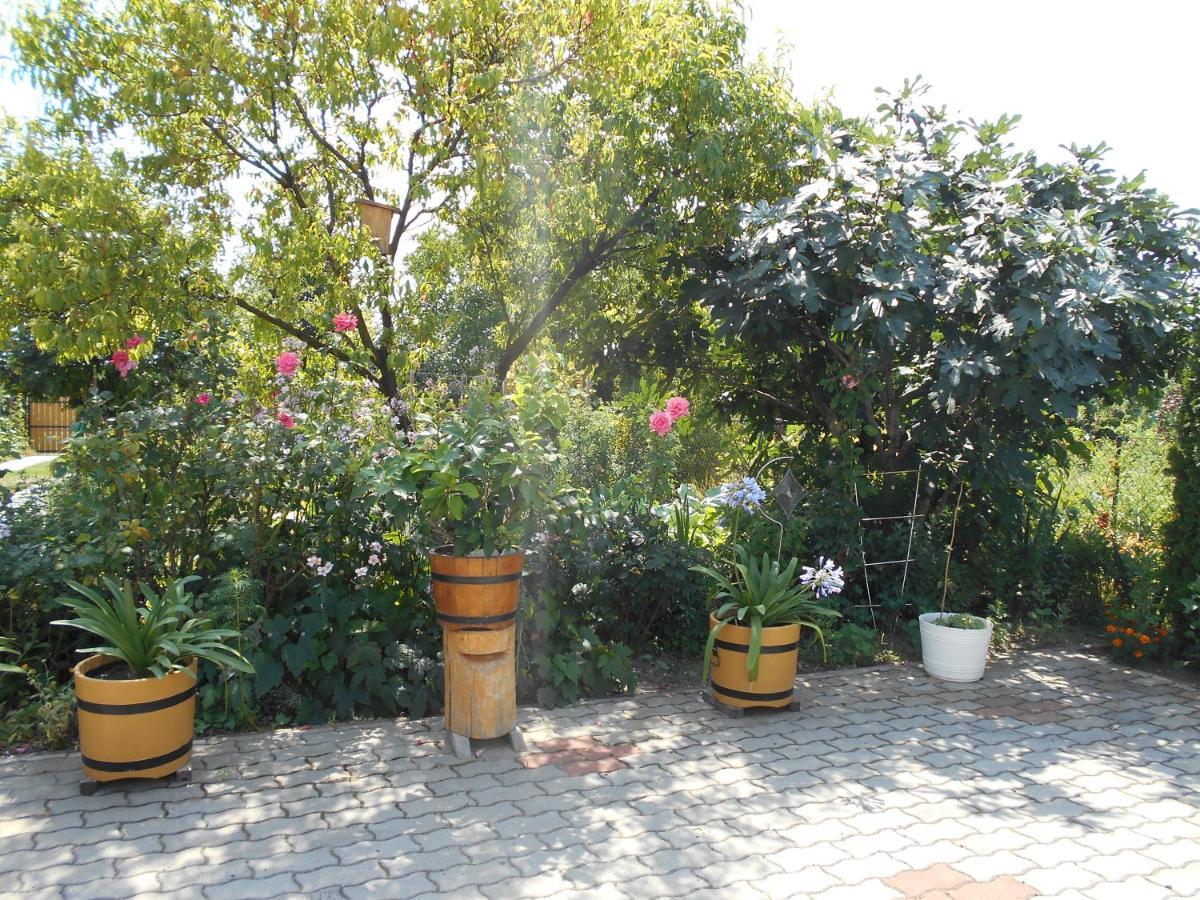 Arpad Panzio Bed & Breakfast Győr Eksteriør bilde